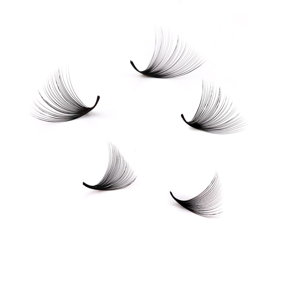 Lashprofessor XL Tray 3D 4D 5D – Eyelash Extension Review Bewertung und Preis