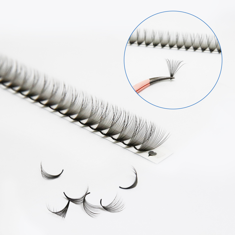 JB Jeyelabeau 6D 10D 20D 30D V – Eyelash Extension Review Bewertung und Preis