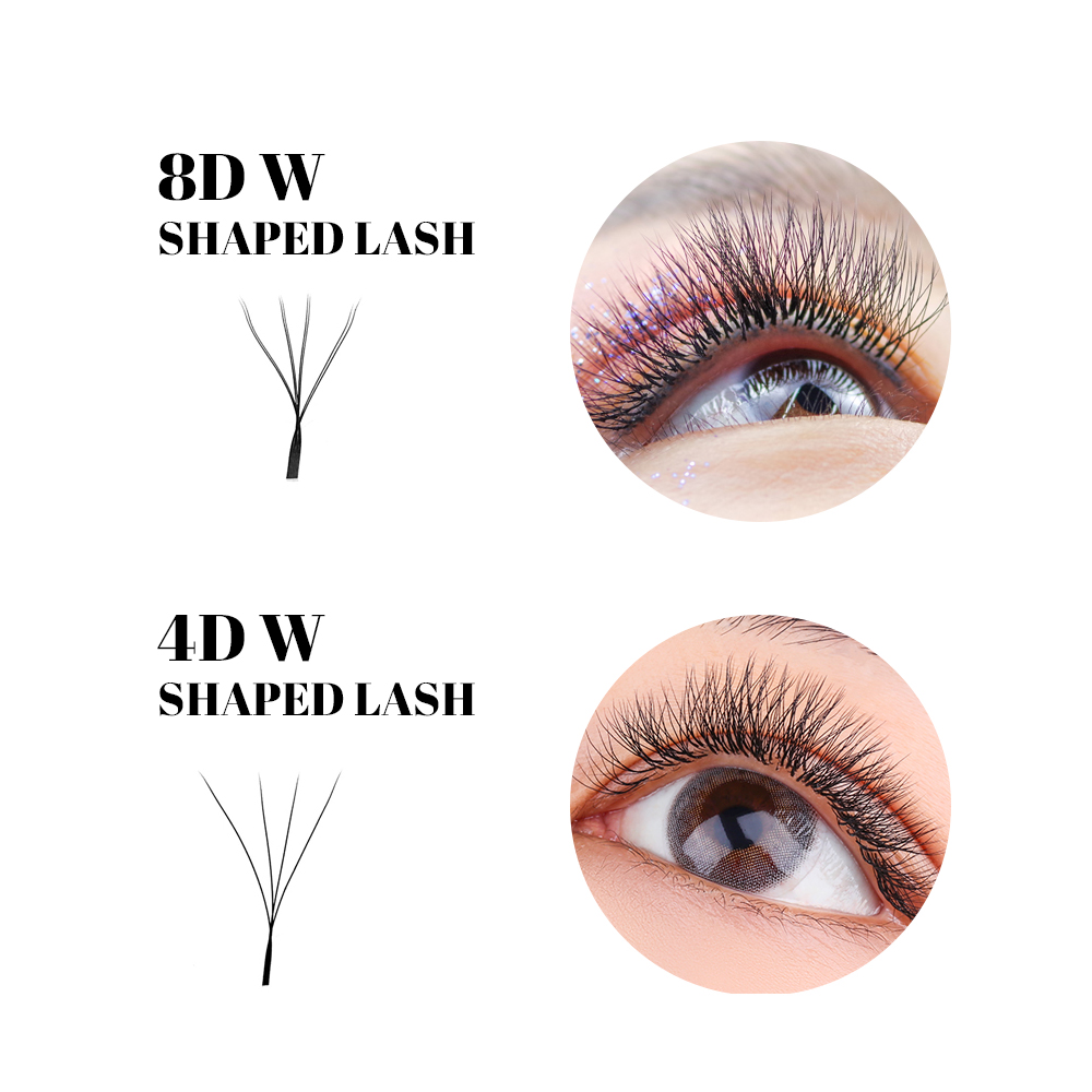 FADVAN W-Form Doppelschicht-Wi – Eyelash Extension Fan Bewertung und Preis
